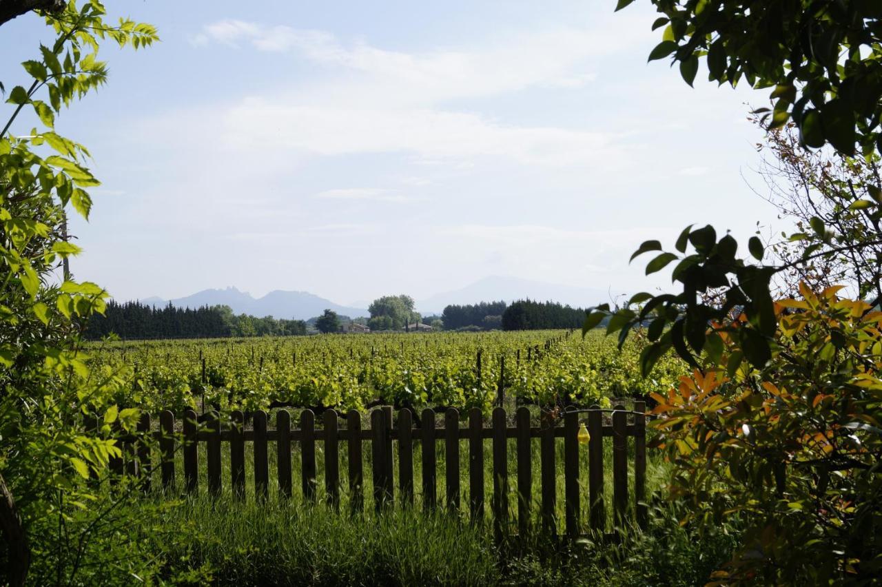 Mas Du Clos De L'Escarrat Jonquieres  Exterior foto