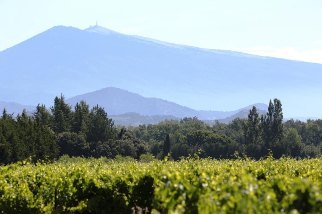 Mas Du Clos De L'Escarrat Jonquieres  Exterior foto